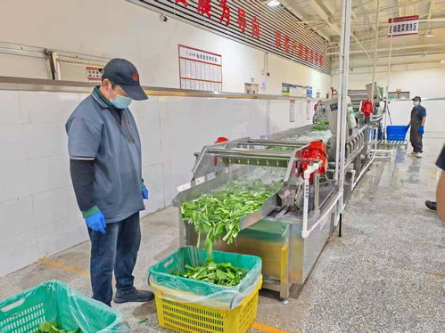 吃出生產力 揭秘超級工廠的餐飲管理智慧